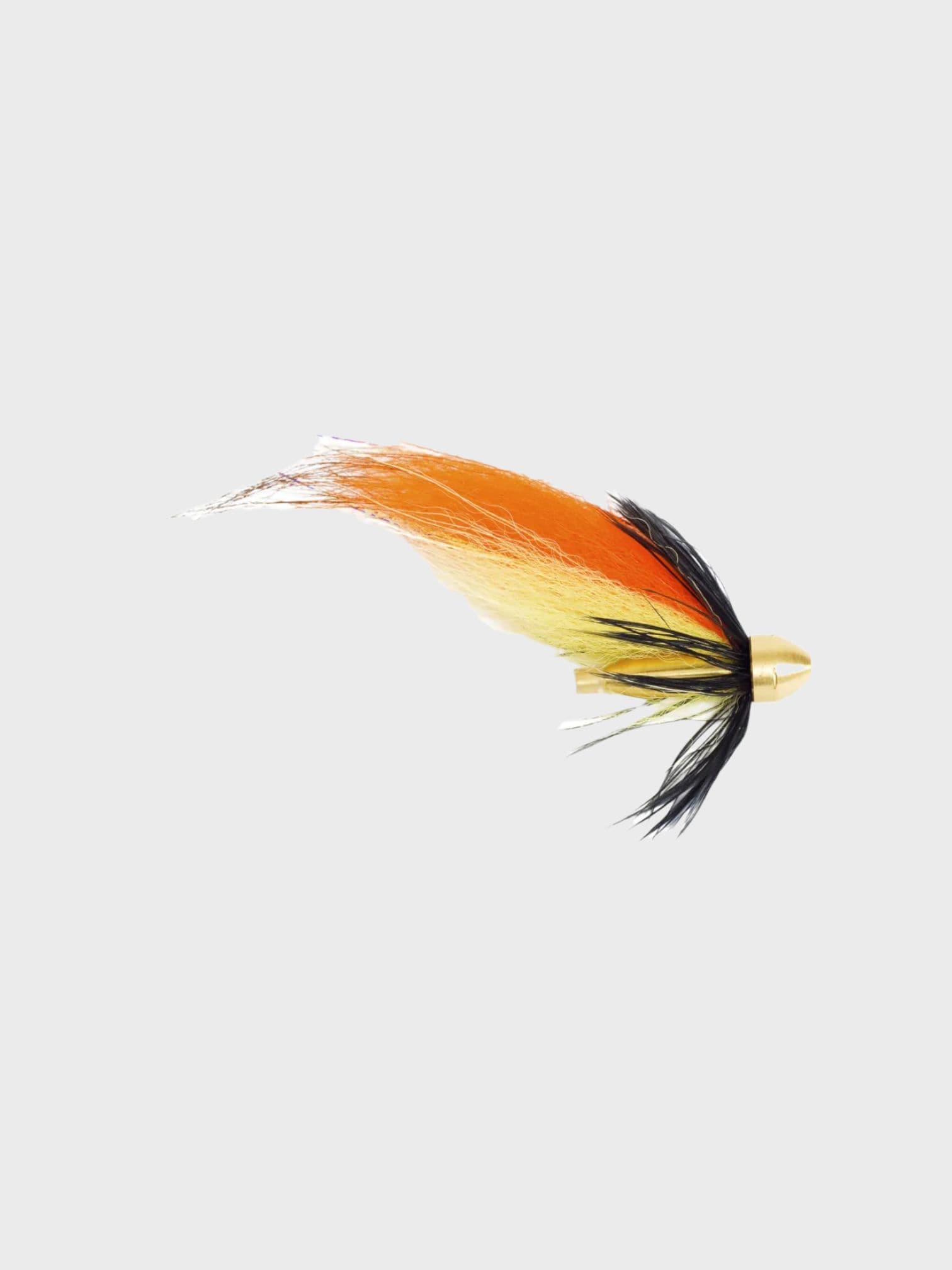 gold/black/orange/yellow