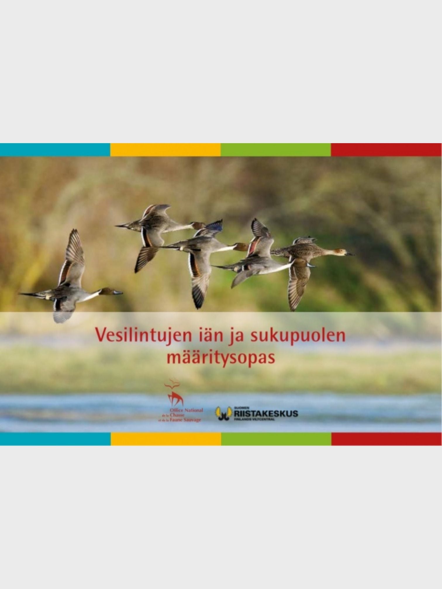 kamu-outdoors-product-vesilinnut.jpg